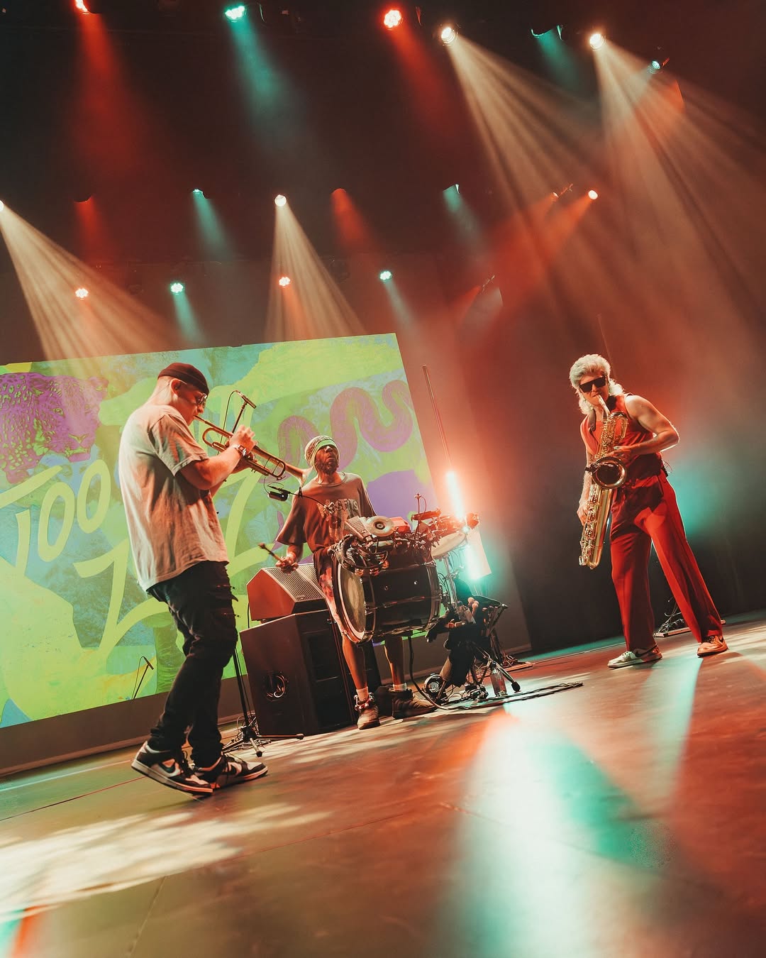 Too Many Zooz